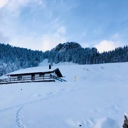 Draexl Garten Und Bergblick